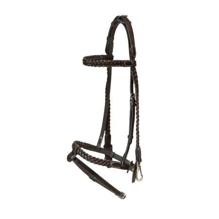 Plaited Training Bridle