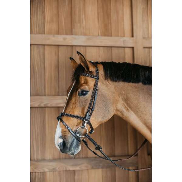 Plaited Training Bridle