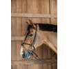Plaited Training Bridle
