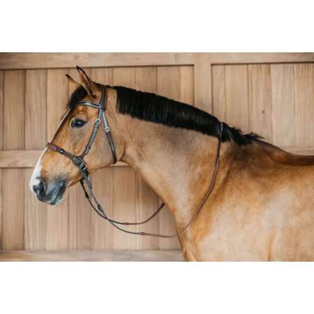 Working by Dyon Bitless Bridle