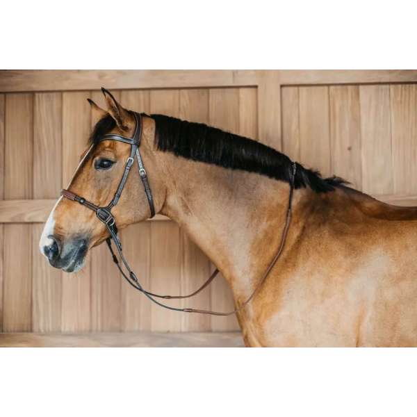 Working by Dyon Bitless Bridle