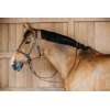 Working by Dyon Bitless Bridle