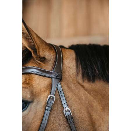 Working by Dyon Bitless Bridle