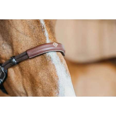 Working by Dyon Bitless Bridle