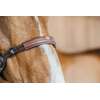 Working by Dyon Bitless Bridle
