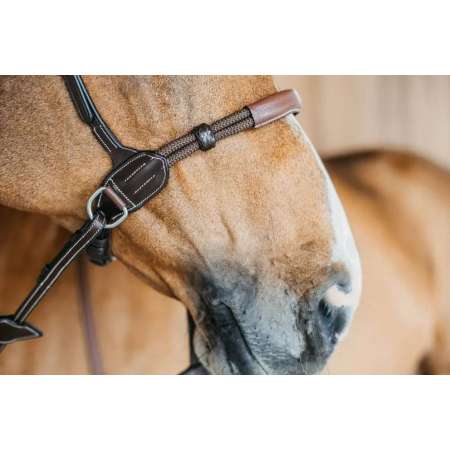 Bridon sans Mors Working by Dyon