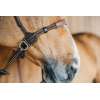 Working by Dyon Bitless Bridle