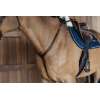 Plaited Bridge Breastplate
