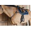 5 Points Breastplate with Elastic