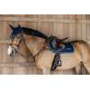 Collier de Chasse 5 Points & Elastiques