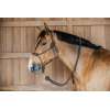 Training Halter