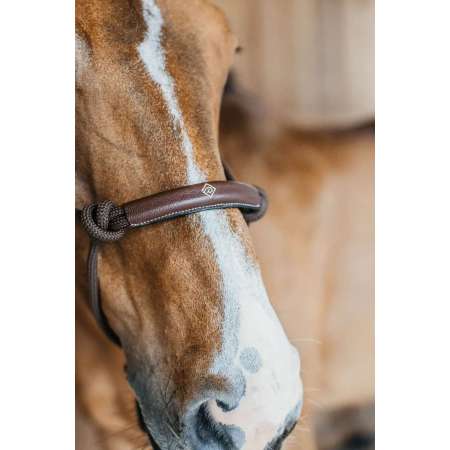 Training Halter