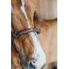 Training Halter