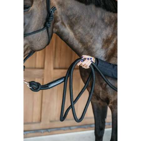 Training Lead with Removable Snap