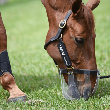 ThinLine Flexible Grazing Mask