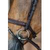 Plaited Flash Noseband Bridle