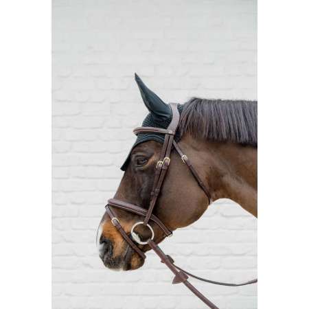 Plaited Flash Noseband Bridle