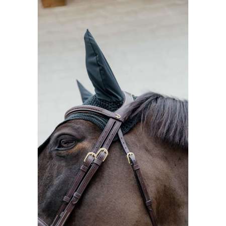 Plaited Flash Noseband Bridle