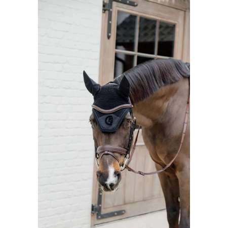 Plaited Flash Noseband Bridle with Pull back