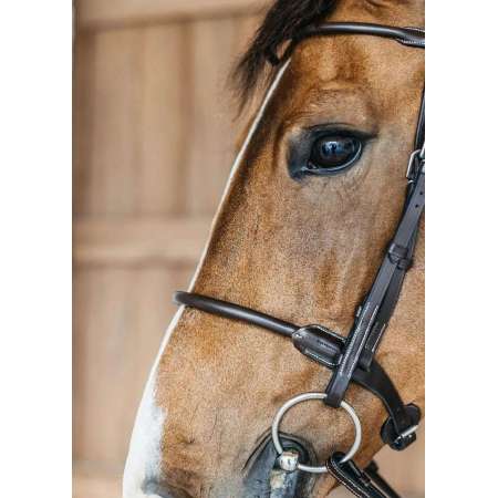 Round Leather Bridle