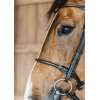 Round Leather Bridle