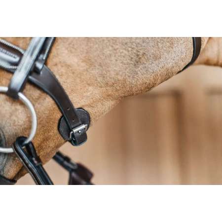 Round Leather Bridle