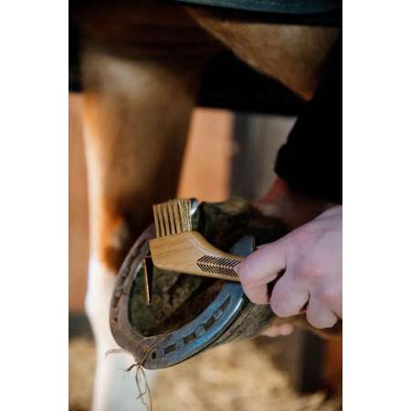 Cure-Pied avec Poils Metalliques