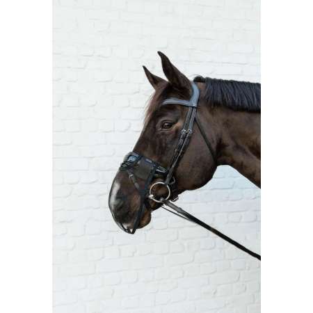 Anti Fly Nose Net