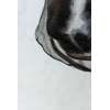 Anti Fly Nose Net