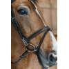 Flash Noseband Bridle with Snap Cheekpieces