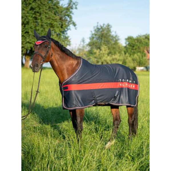 Kingston Light&Dry Color Block Rug