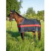 Kingston Light&Dry Color Block Rug