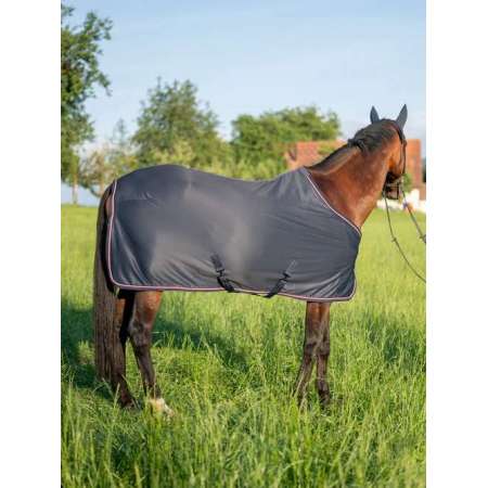Kingston Light&Dry Color Block Rug