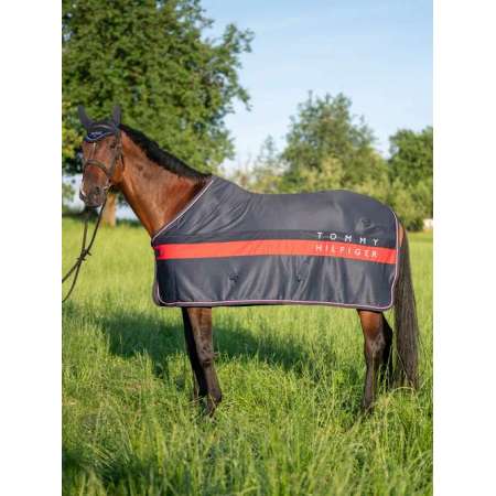 Kingston Light&Dry Color Block Rug