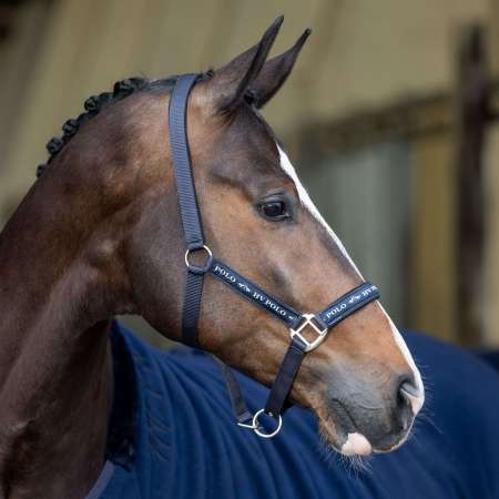 HVPNena Headcollar