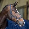 HVPNena Headcollar