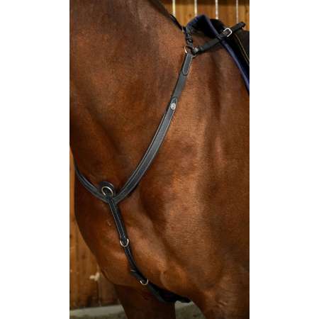 Working by Dy'on Bridge Breastplate