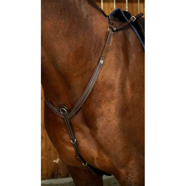 Working by Dy'on Bridge Breastplate