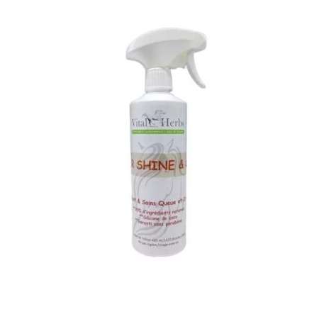 Super Shine & Care