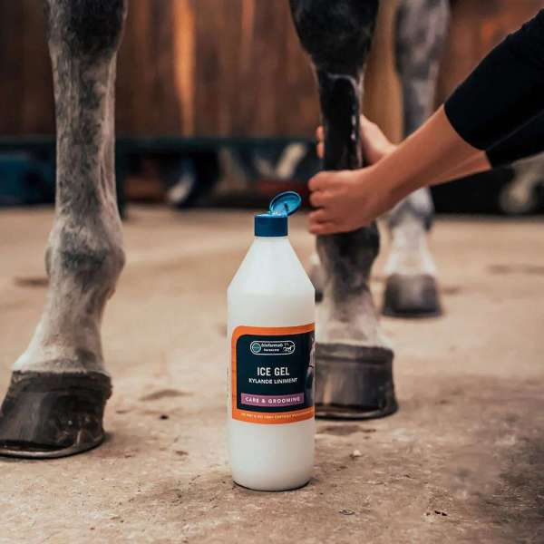 Ice Gel 500ML