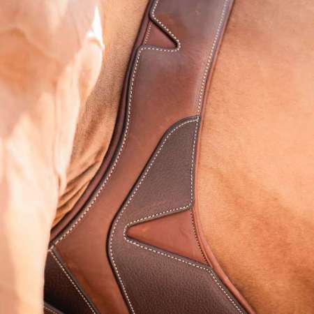 Sangle bavette Flexmotion CWD