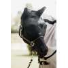 Fly Mask Classic with ears