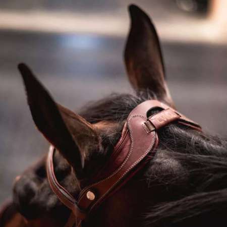 CWD Flexmotion Bridle