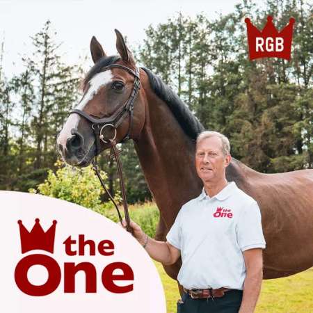 Bridon + rênes CWD Rolf Göran Bengtsson