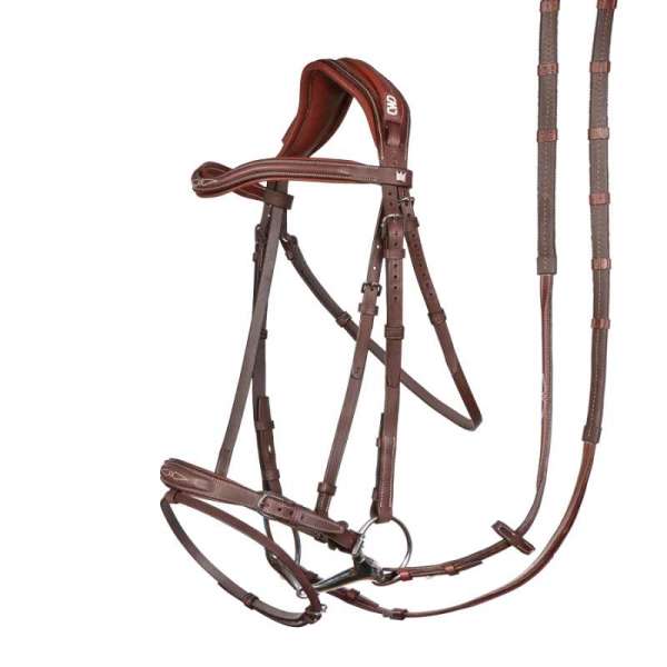 Kent Farrington Bridle + Reins