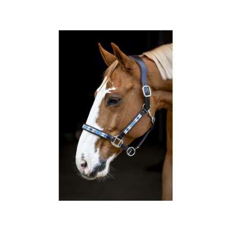 LJ Pearl Galaxy Headcollar