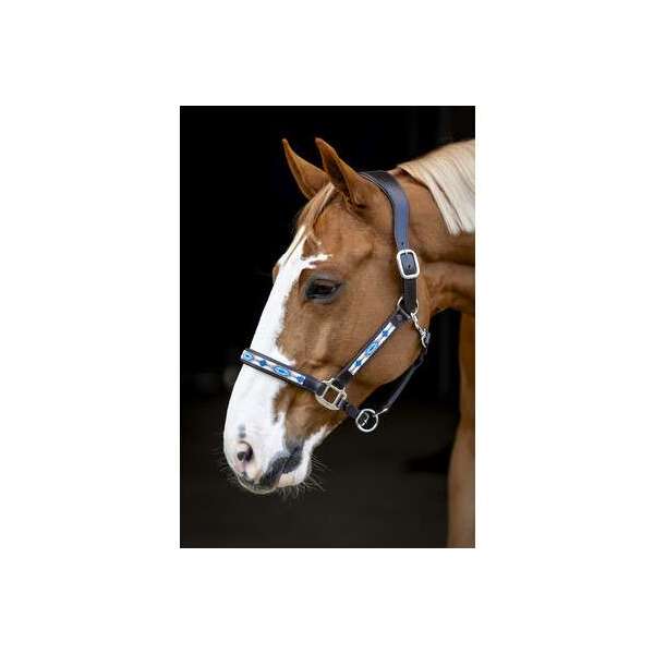 LJ Pearl Galaxy Headcollar