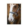 LJ Pearl Galaxy Headcollar