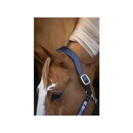 LJ Pearl Galaxy Headcollar