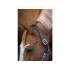 LJ Pearl Galaxy Headcollar